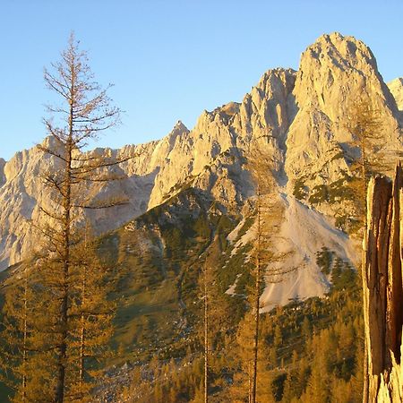 Gasthof Hunerkogel Hotell Ramsau am Dachstein Eksteriør bilde