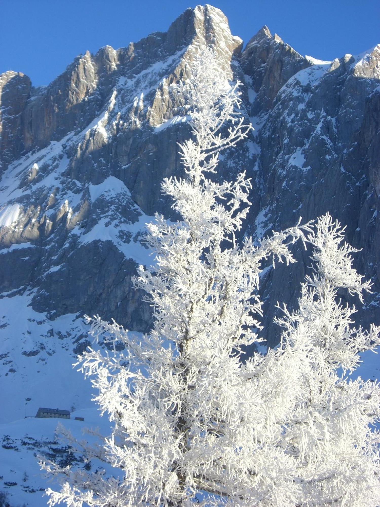 Gasthof Hunerkogel Hotell Ramsau am Dachstein Eksteriør bilde