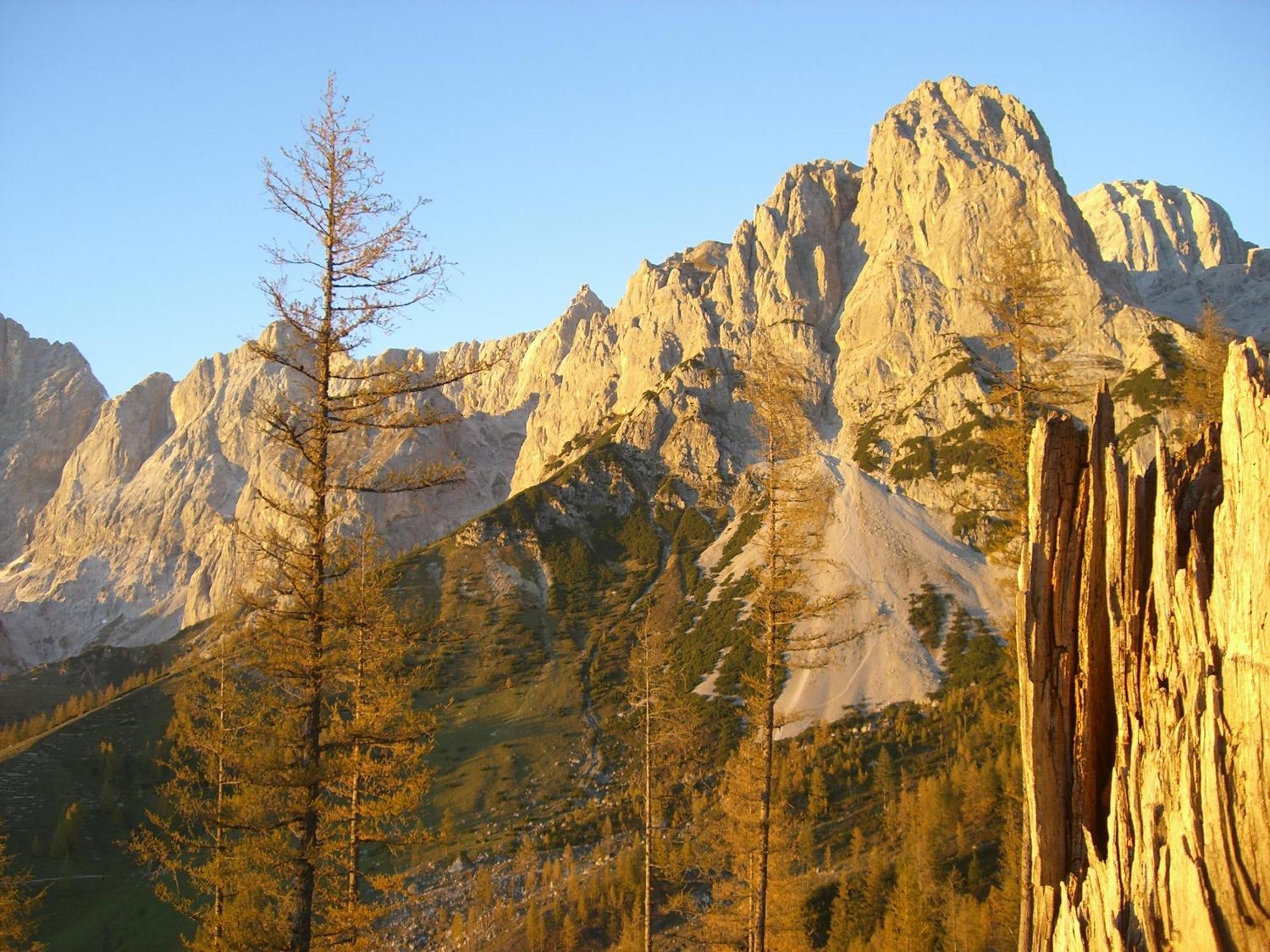 Gasthof Hunerkogel Hotell Ramsau am Dachstein Eksteriør bilde