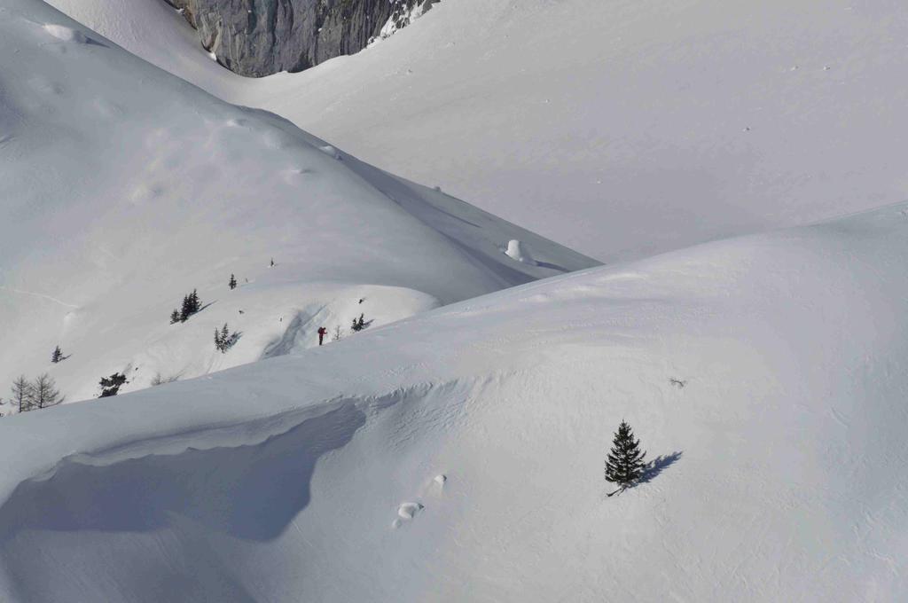 Gasthof Hunerkogel Hotell Ramsau am Dachstein Eksteriør bilde